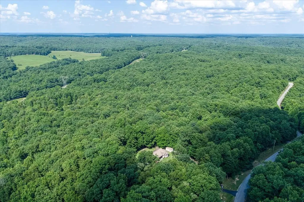 1133 W Laurel Way Monterey TN 38574