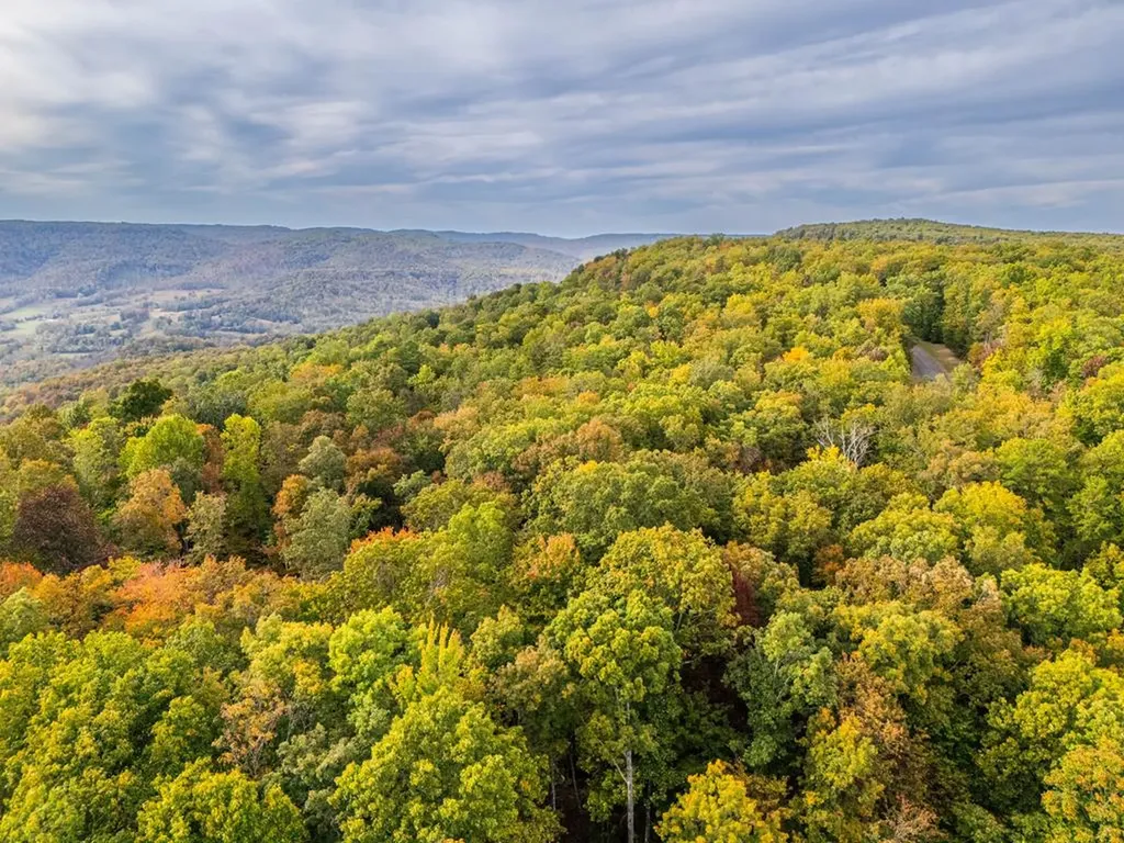 93 Westridge Trail Monterey TN 38574