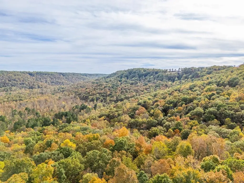 93 Westridge Trail Monterey TN 38574