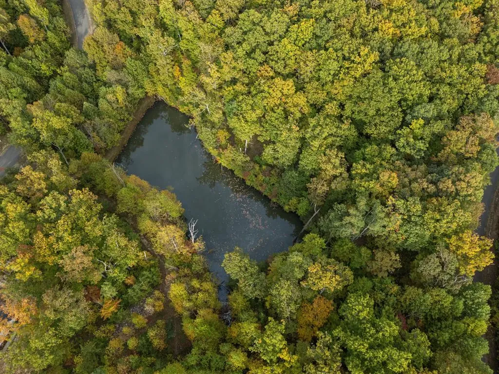 93 Westridge Trail Monterey TN 38574