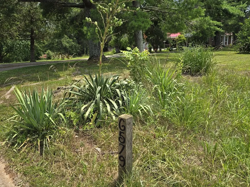 6579 Vervilla Road Morrison TN 37357