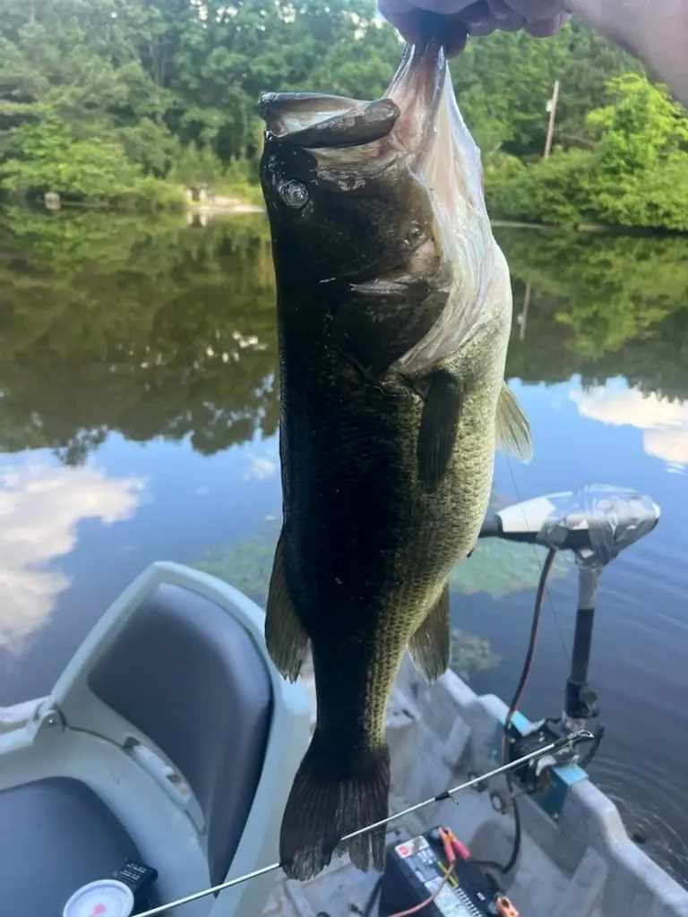 11158 N Highway 70 Crossville TN 38571