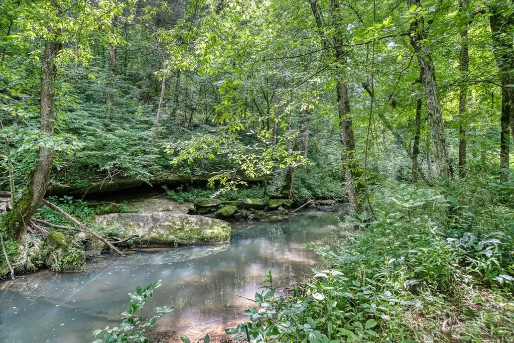 1901 Rickman Road Livingston TN 38570