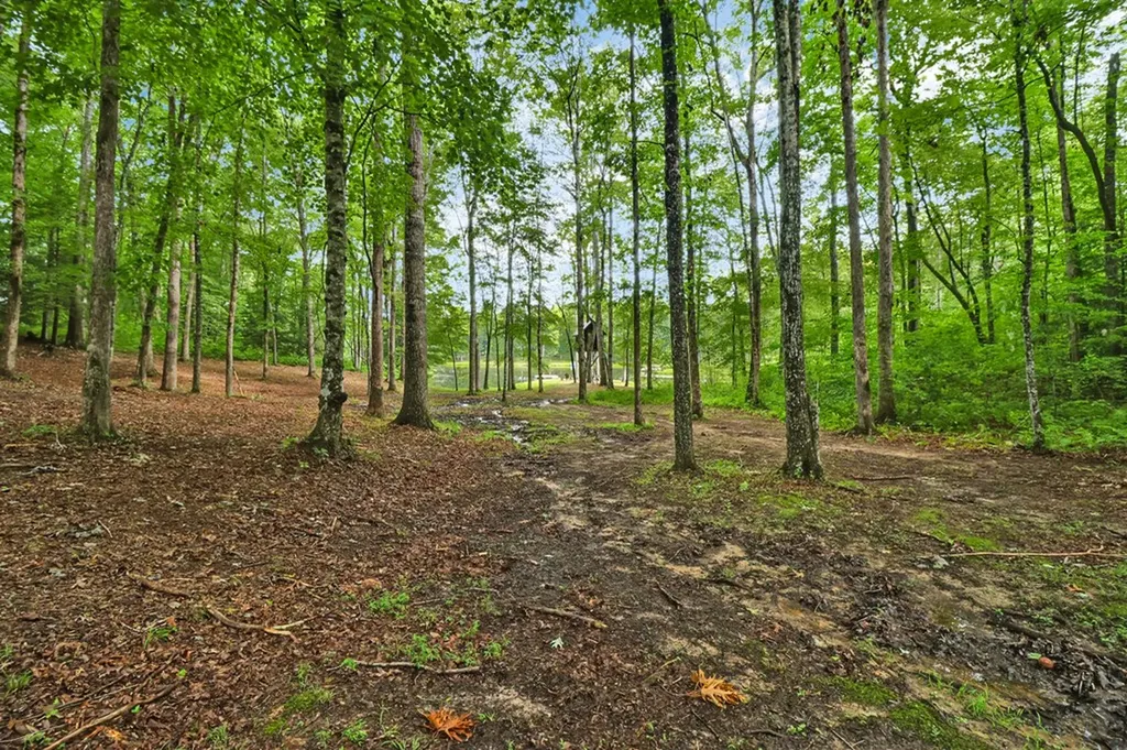 265 Falling Leaf Road Jamestown TN 38556