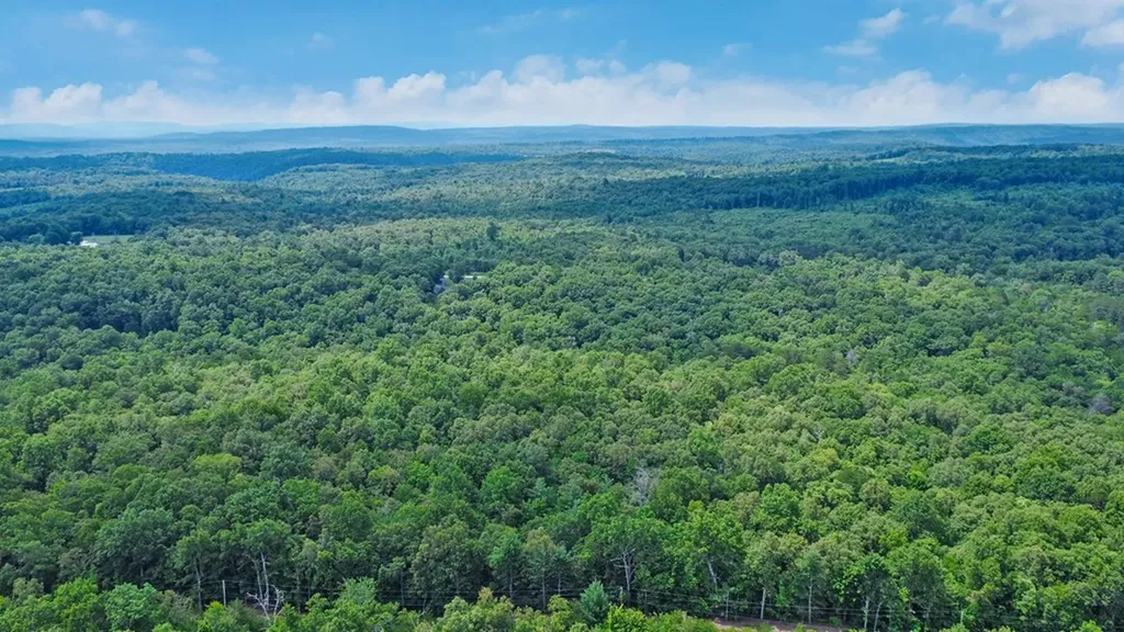 16501 Genesis Road Crossville TN 38571