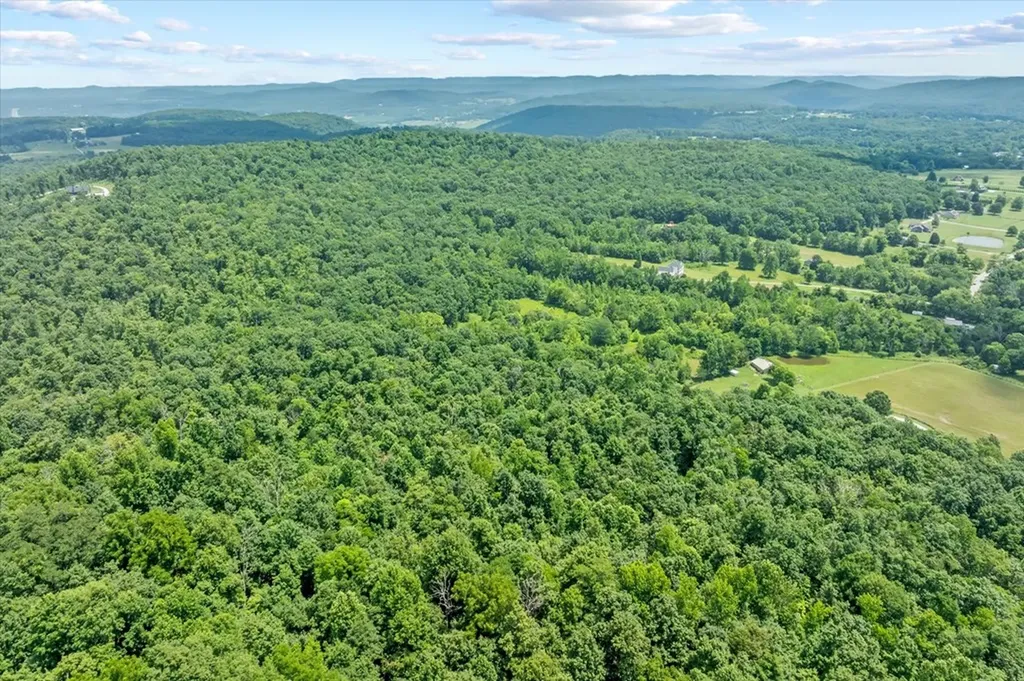 5536 Buck Mountain Road Cookeville TN 38506