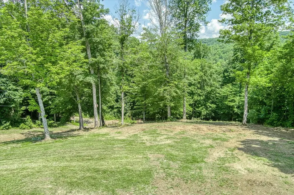 7040 Fallen Timer Lane Crawford TN 38554