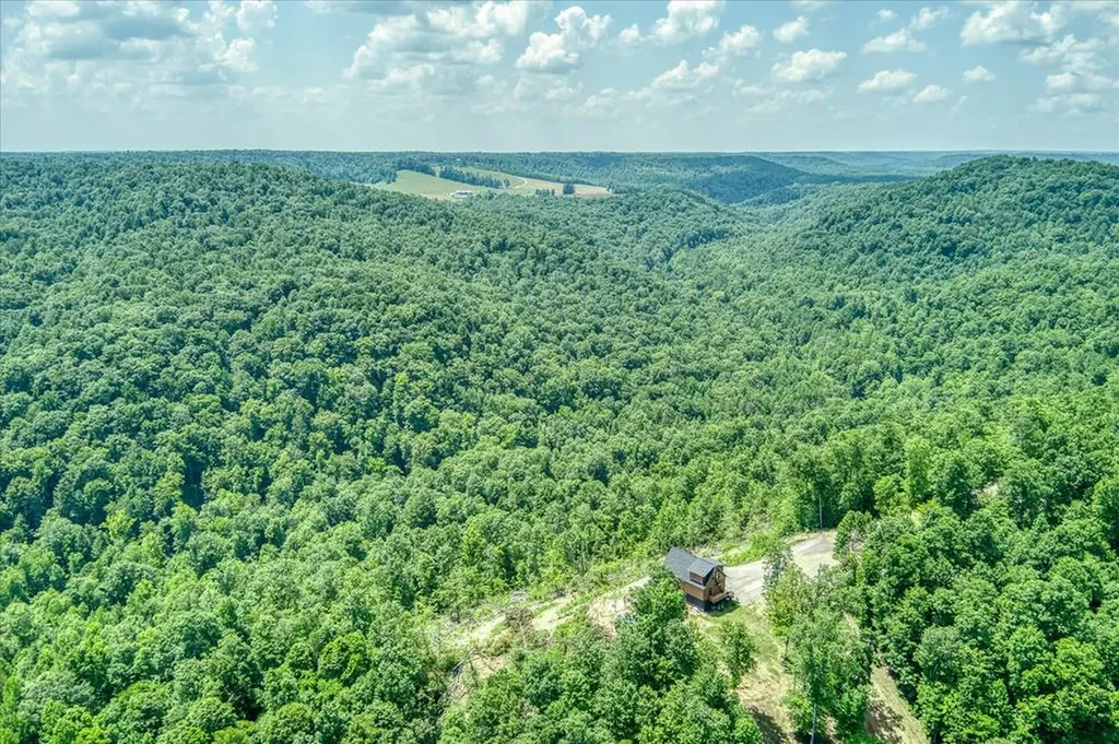 7040 Fallen Timer Lane Crawford TN 38554