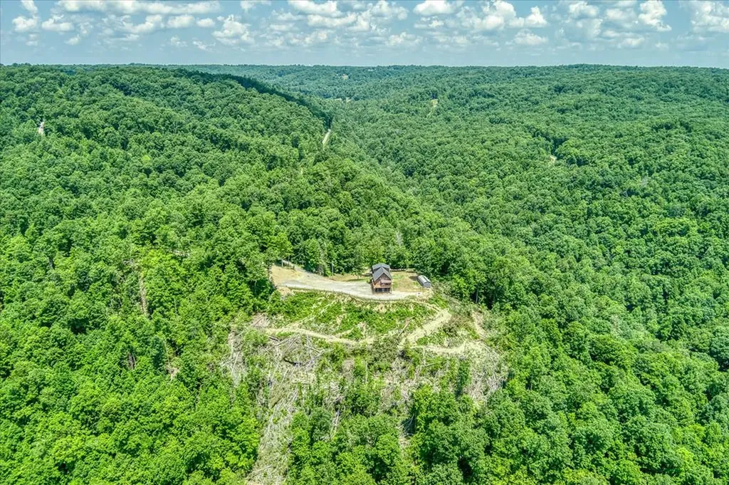 7040 Fallen Timer Lane Crawford TN 38554