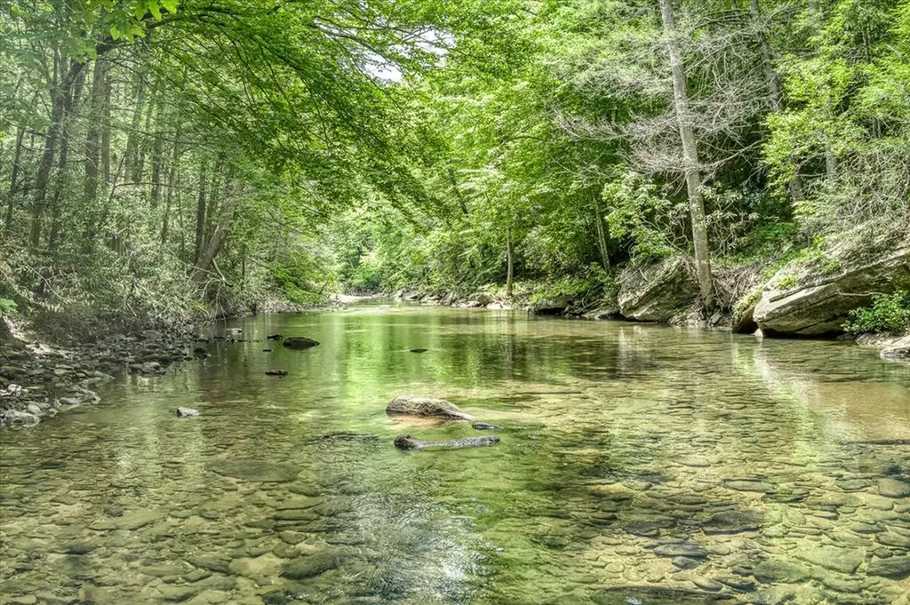 7040 Fallen Timer Lane Crawford TN 38554