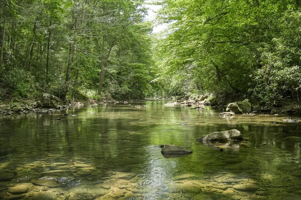 7040 Fallen Timer Lane Crawford TN 38554