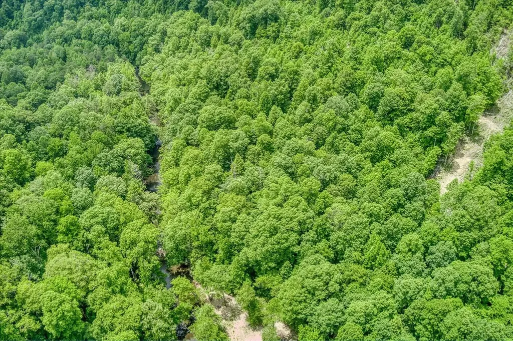 7040 Fallen Timer Lane Crawford TN 38554