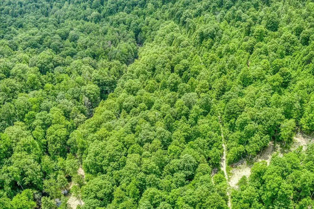 7040 Fallen Timer Lane Crawford TN 38554