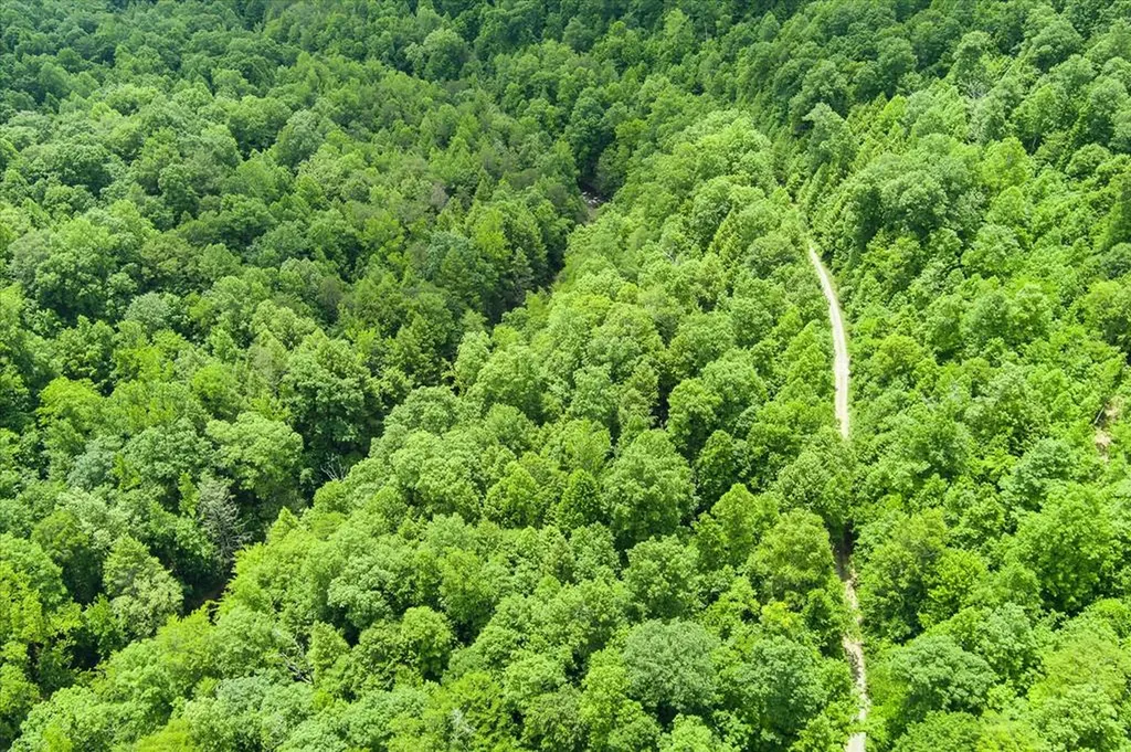 7040 Fallen Timer Lane Crawford TN 38554