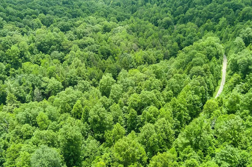 7040 Fallen Timer Lane Crawford TN 38554