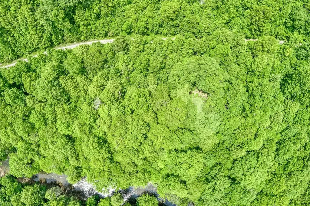 7040 Fallen Timer Lane Crawford TN 38554