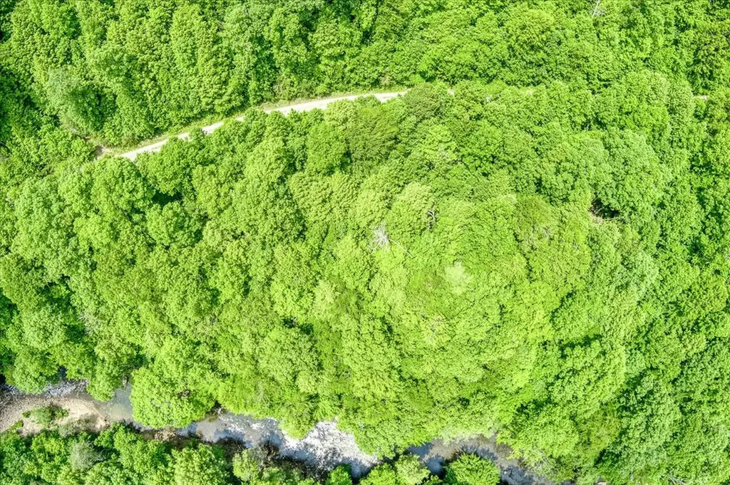 7040 Fallen Timer Lane Crawford TN 38554