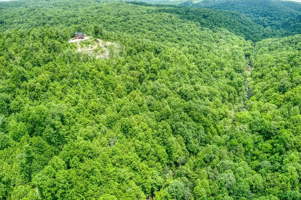 7040 Fallen Timer Lane Crawford TN 38554