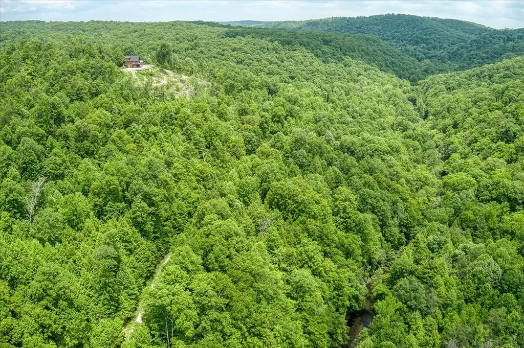 7040 Fallen Timer Lane Crawford TN 38554