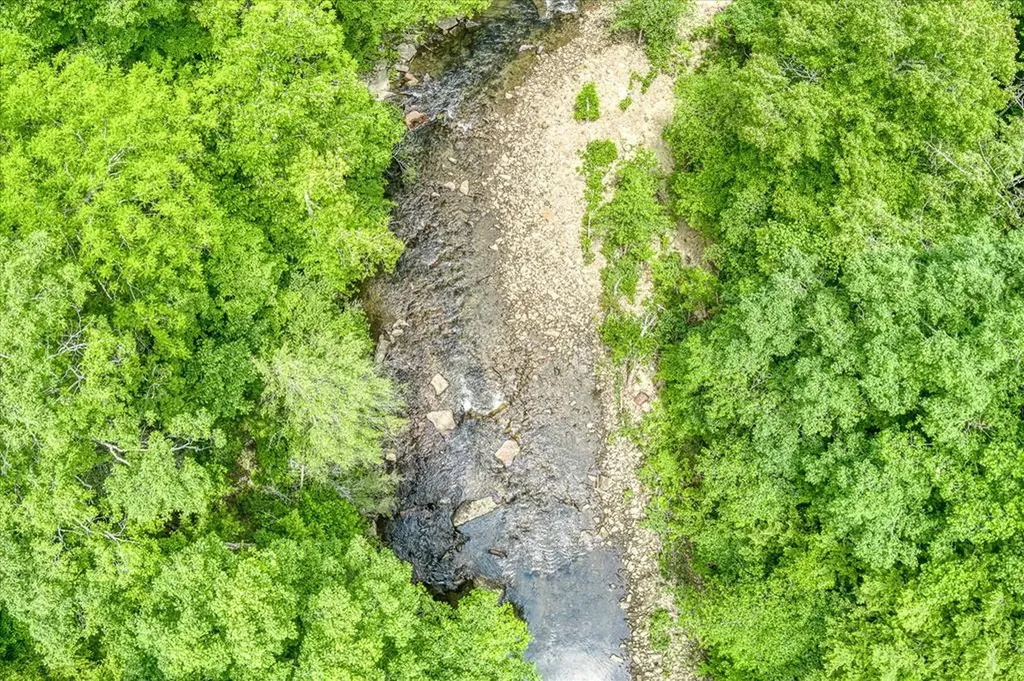 7040 Fallen Timer Lane Crawford TN 38554