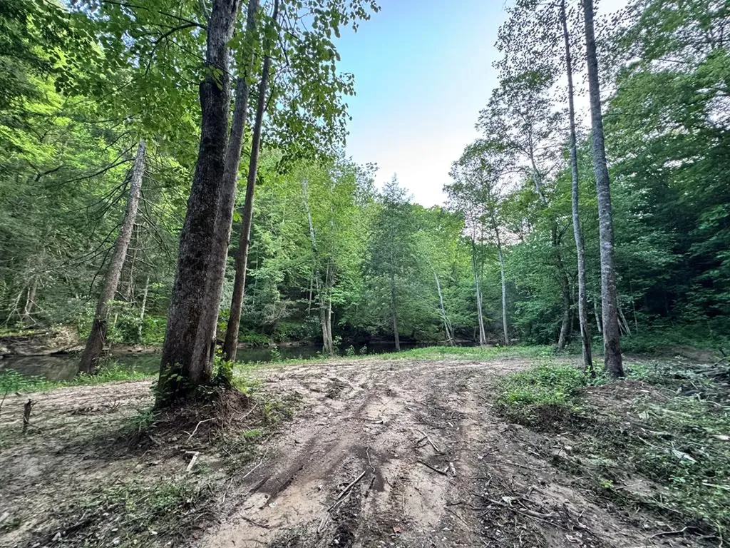 7040 Fallen Timer Lane Crawford TN 38554