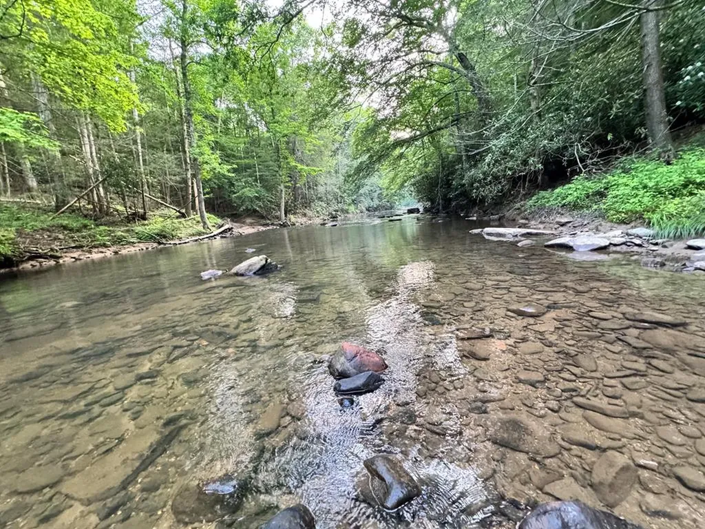 7040 Fallen Timer Lane Crawford TN 38554