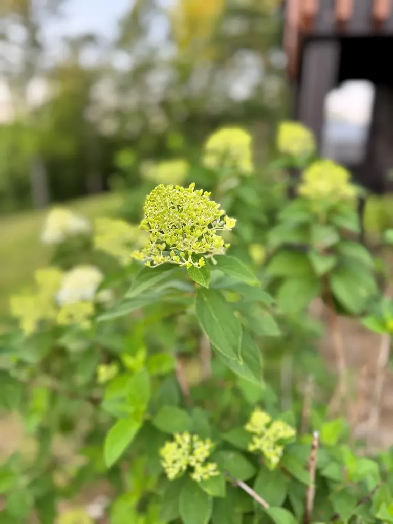 7040 Fallen Timer Lane Crawford TN 38554