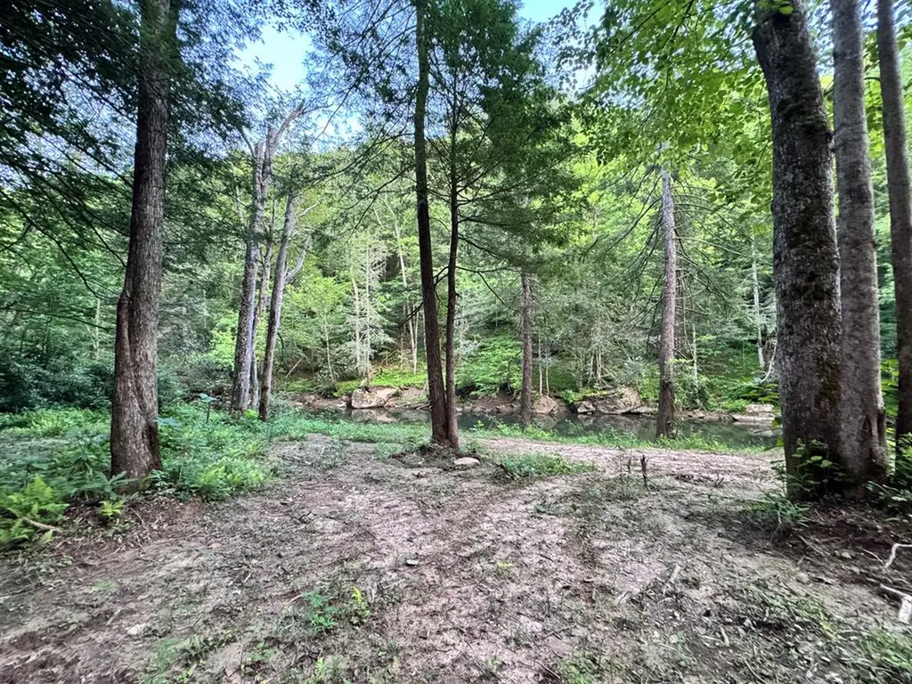 7040 Fallen Timer Lane Crawford TN 38554