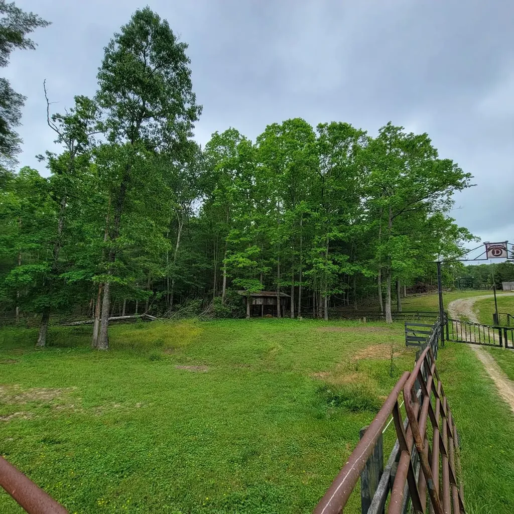 380 Dewey Burke Road Jamestown TN 38556