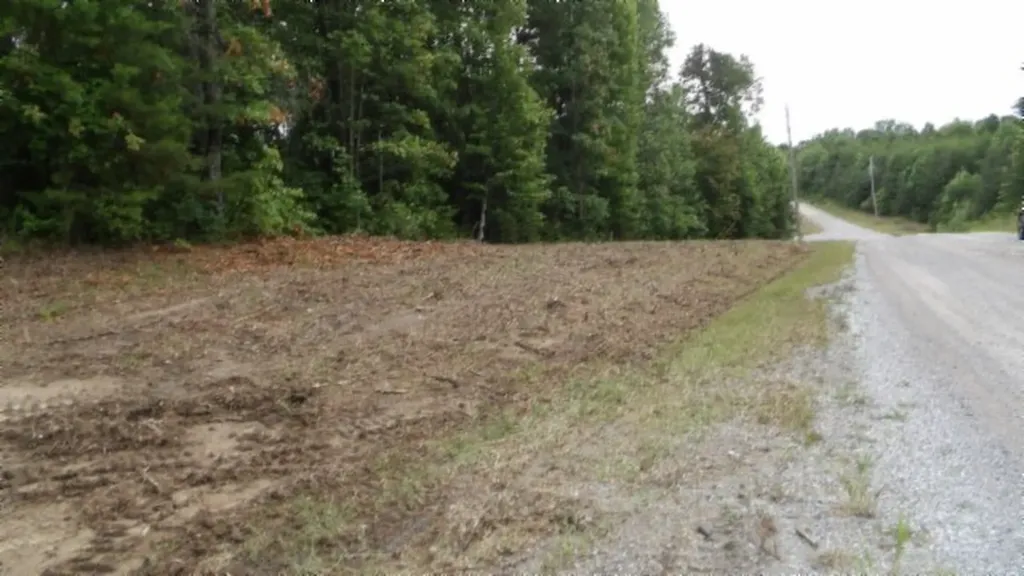 Lot 222 Hilltop Lane Wilder TN 38589