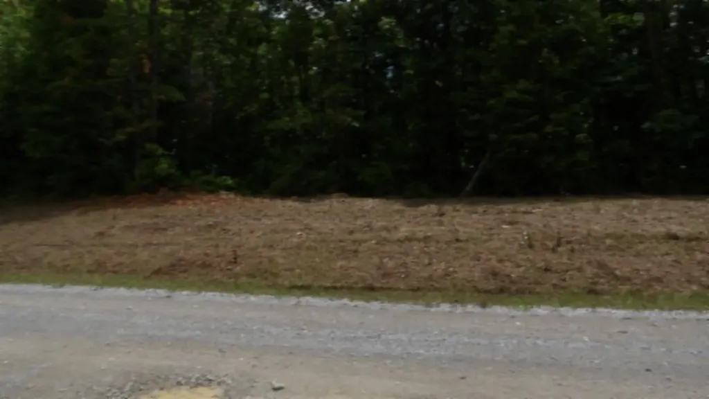 Lot 222 Hilltop Lane Wilder TN 38589