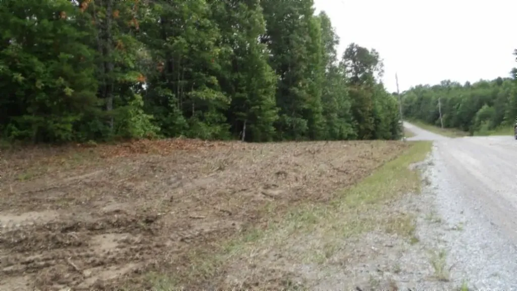 Lot 222 Hilltop Lane Wilder TN 38589