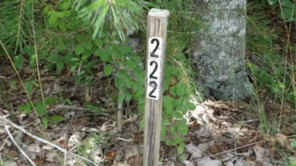 Lot 222 Hilltop Lane Wilder TN 38589
