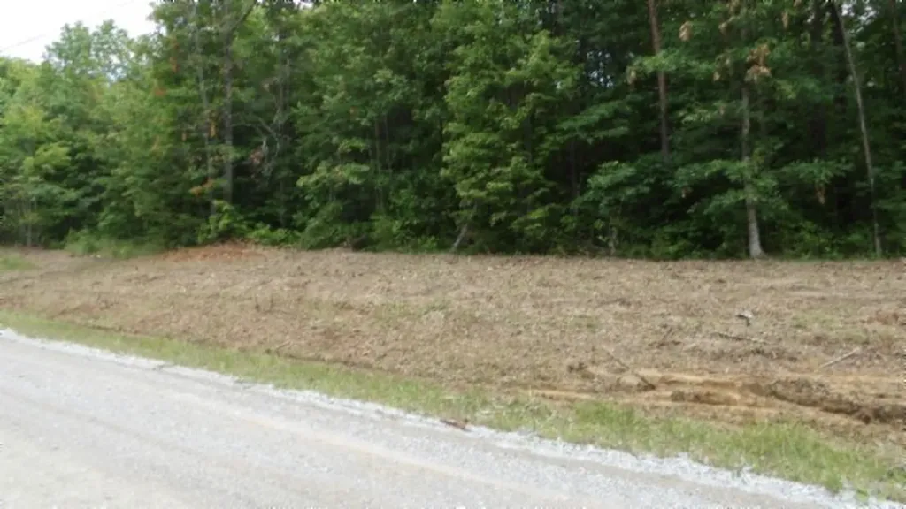 Lot 222 Hilltop Lane Wilder TN 38589