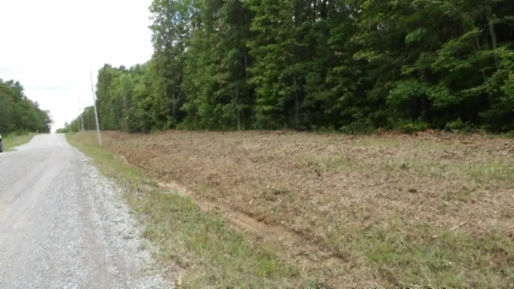 Lot 222 Hilltop Lane Wilder TN 38589