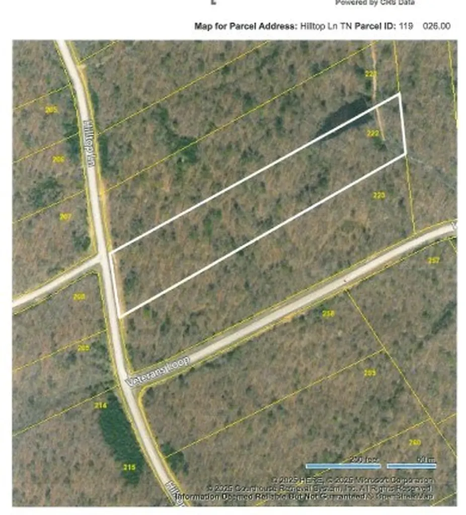 Lot 222 Hilltop Lane Wilder TN 38589