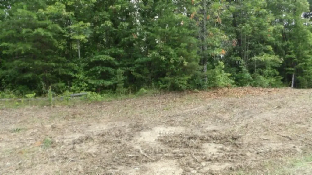 Lot 222 Hilltop Lane Wilder TN 38589