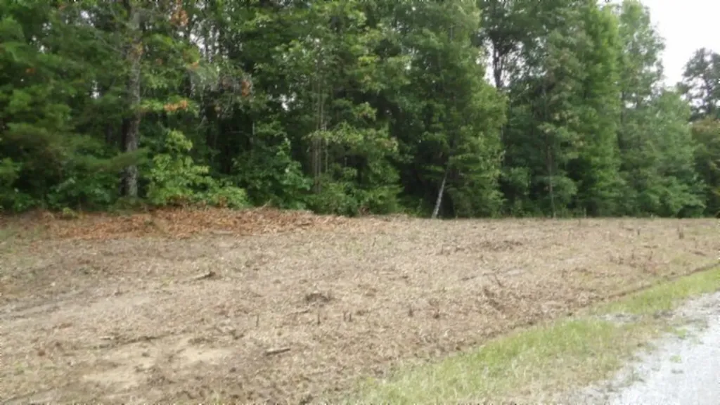 Lot 222 Hilltop Lane Wilder TN 38589