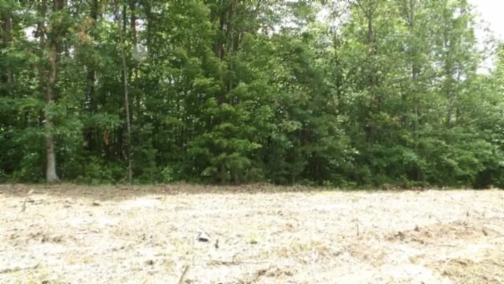 Lot 222 Hilltop Lane Wilder TN 38589