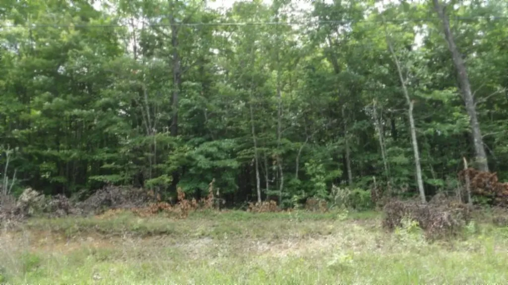 Lot 48 Parkstown Extension Road Wilder TN 38589