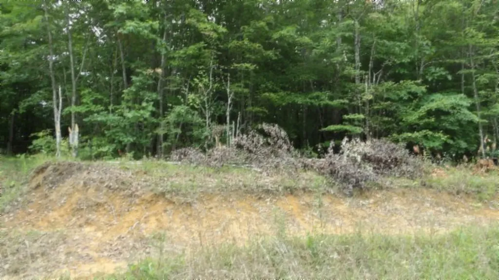 Lot 48 Parkstown Extension Road Wilder TN 38589
