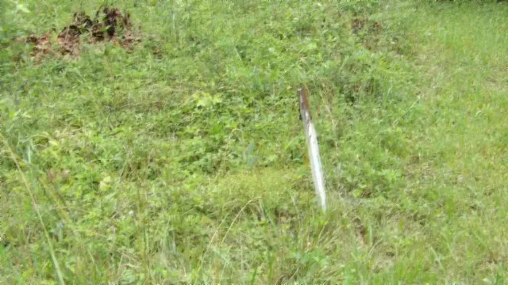 Lot 48 Parkstown Extension Road Wilder TN 38589