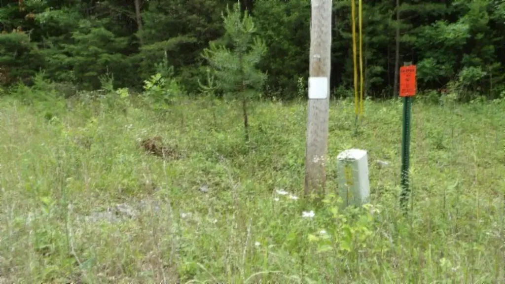 Lot 48 Parkstown Extension Road Wilder TN 38589