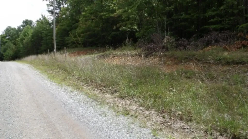Lot 48 Parkstown Extension Road Wilder TN 38589