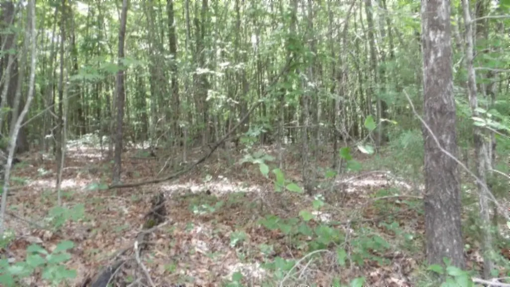Lot 48 Parkstown Extension Road Wilder TN 38589