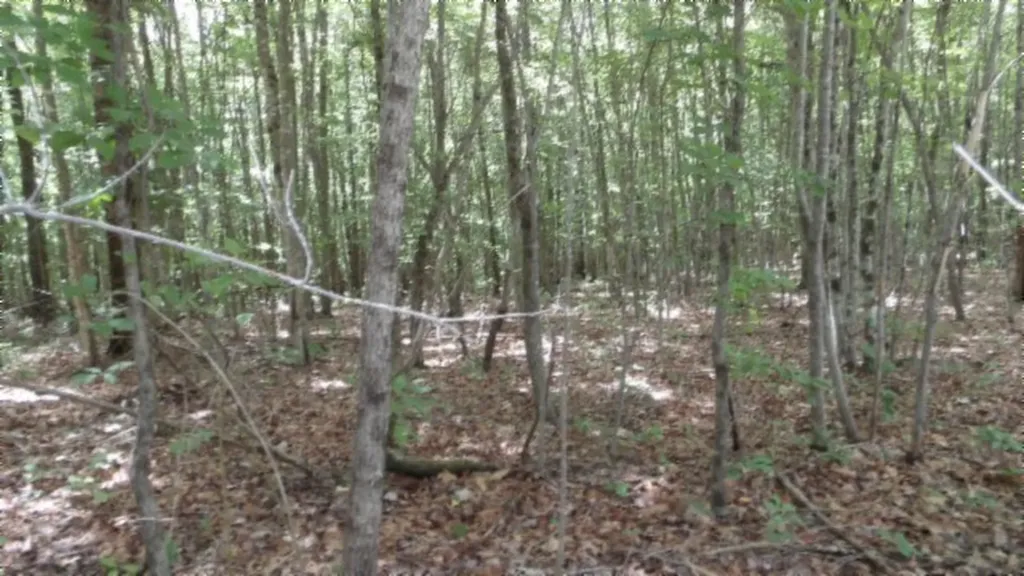 Lot 48 Parkstown Extension Road Wilder TN 38589