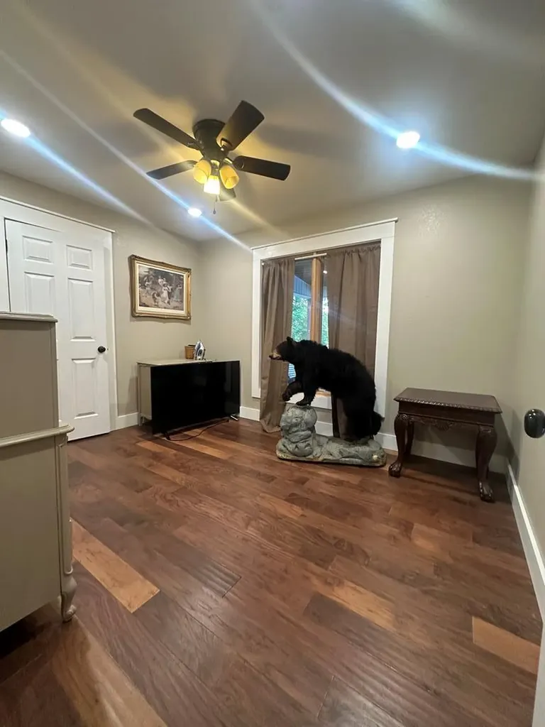 2205 North Lick Creek Road Byrdstown TN 38549