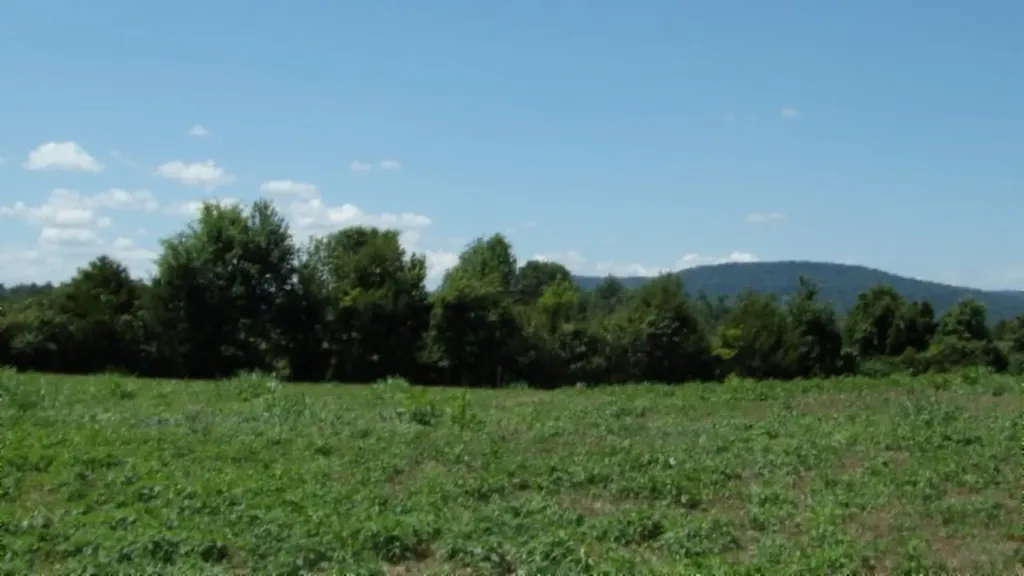 Lot 38 Ranchside Court Rock Island TN 38581