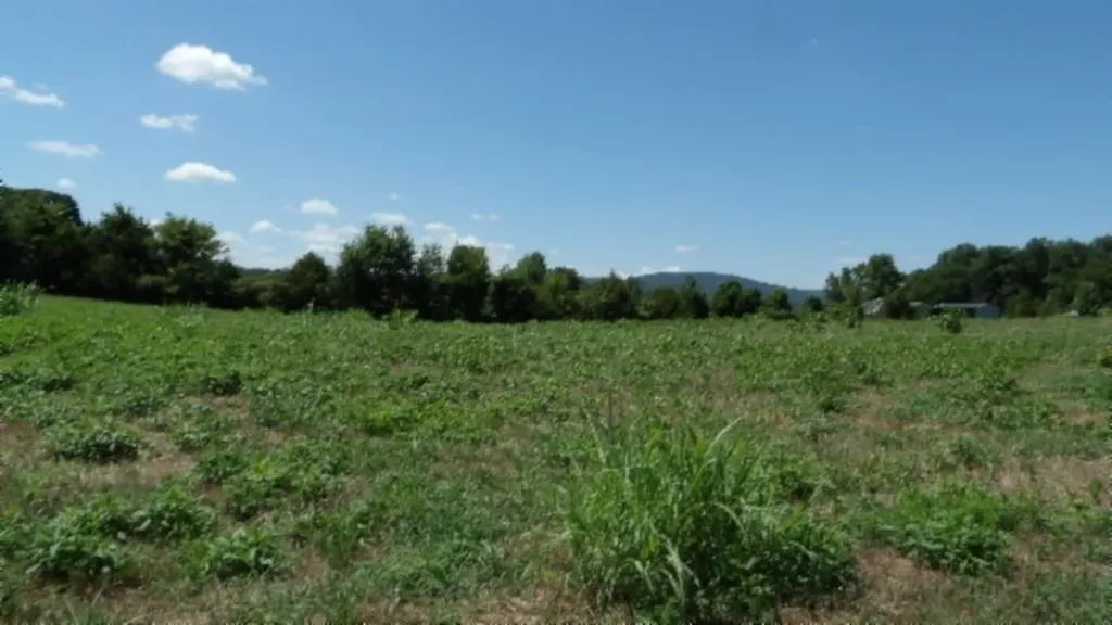 Lot 38 Ranchside Court Rock Island TN 38581