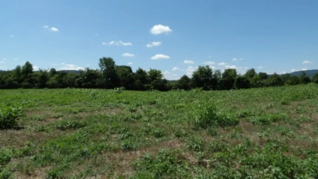 Lot 38 Ranchside Court Rock Island TN 38581